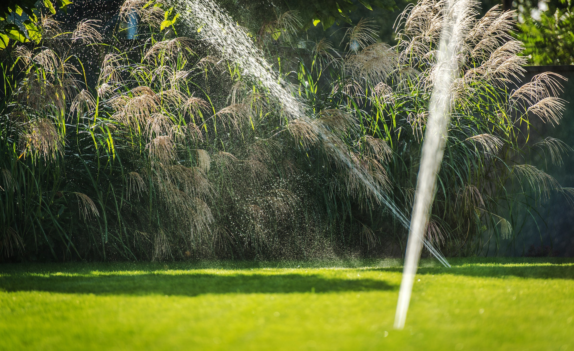 Residential Backyard Garden Sprinklers Irrigation System